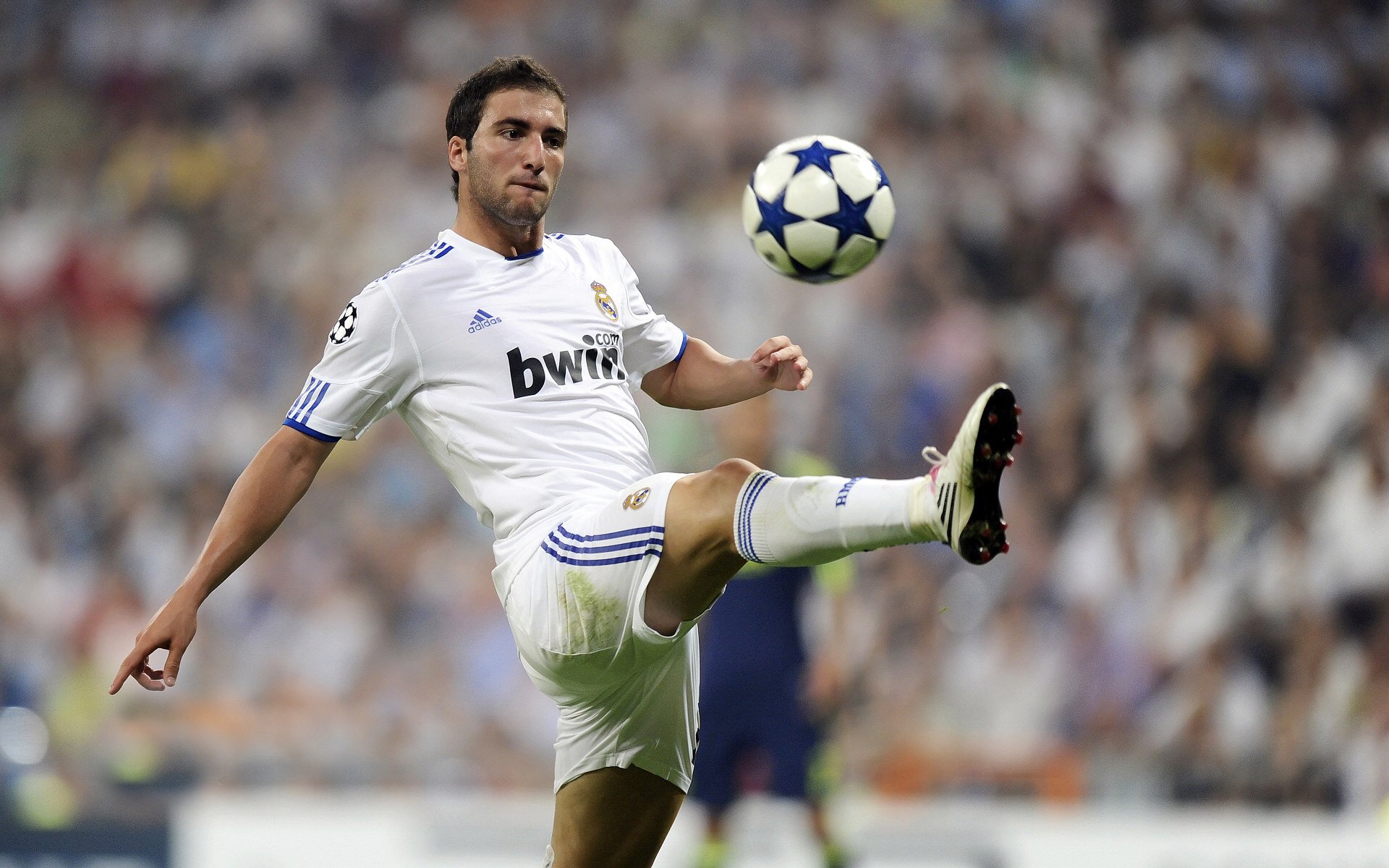 “最强防守者:联盟中守护篮筐的铁壁队长”